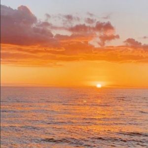 Meet your Posher, Abigail